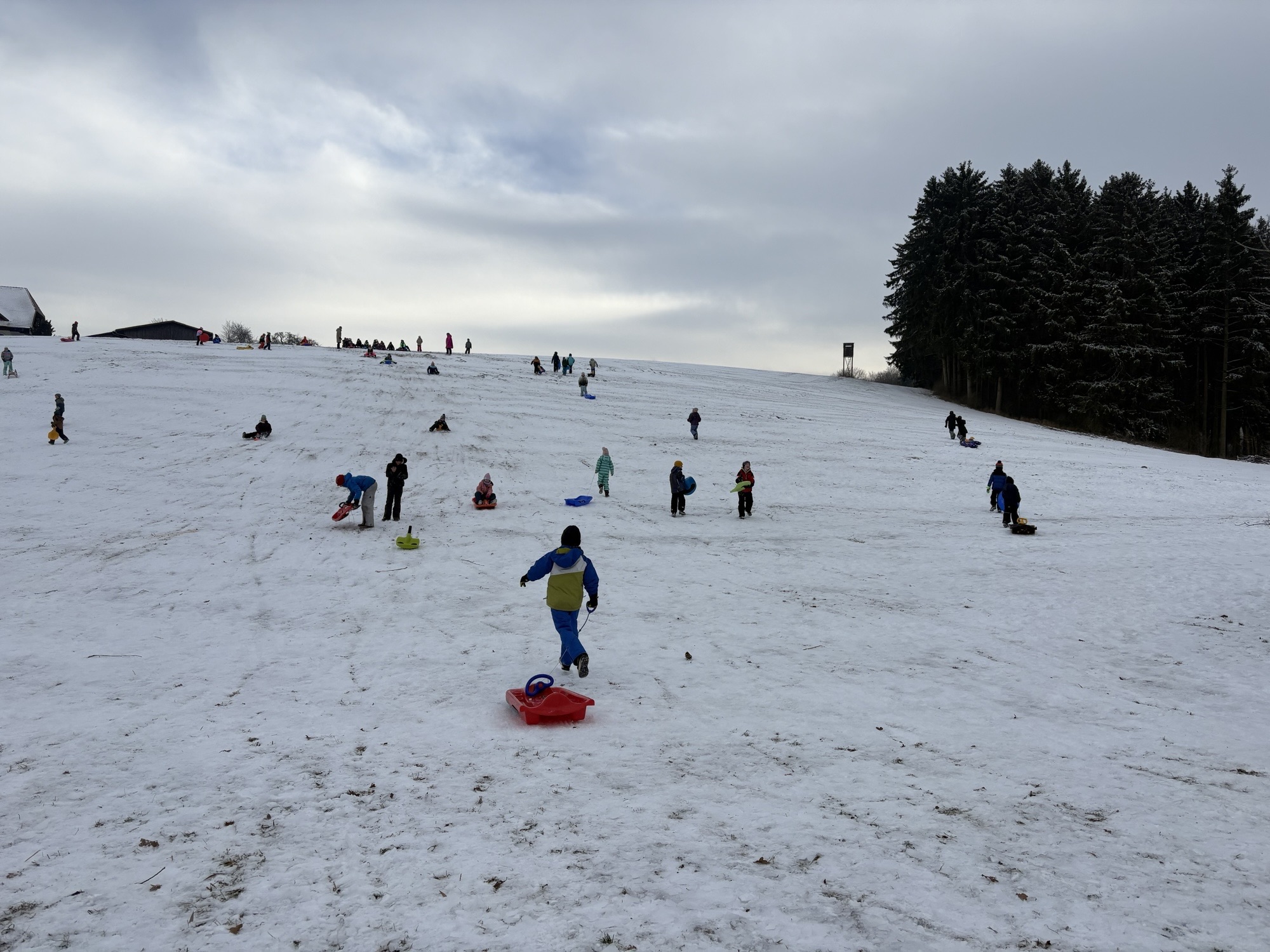 Bobfahren am 9. Jänner – Ein winterliches Vergnügen ❄️🛷